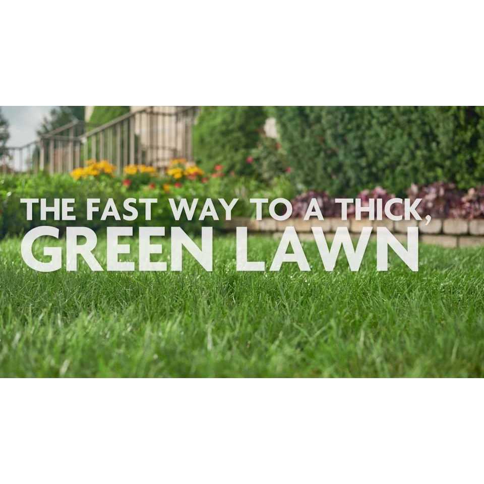 Miracle Gro Water Soluble Lawn Food