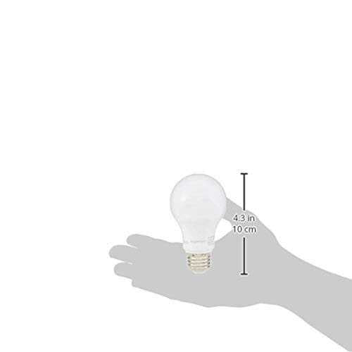 Basics Equivalent Non-Dimmable 10,000 Hour Lifetime