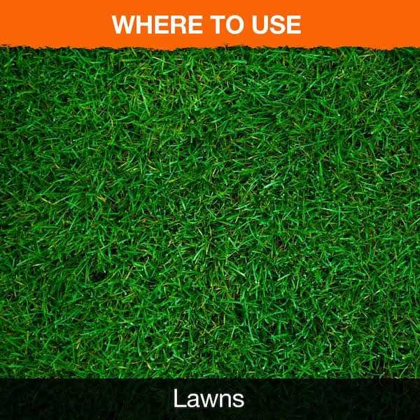 Ortho Nutsedge Killer for Lawns Ready-To-Spray