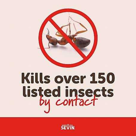 Sevin Insect Killer Dust