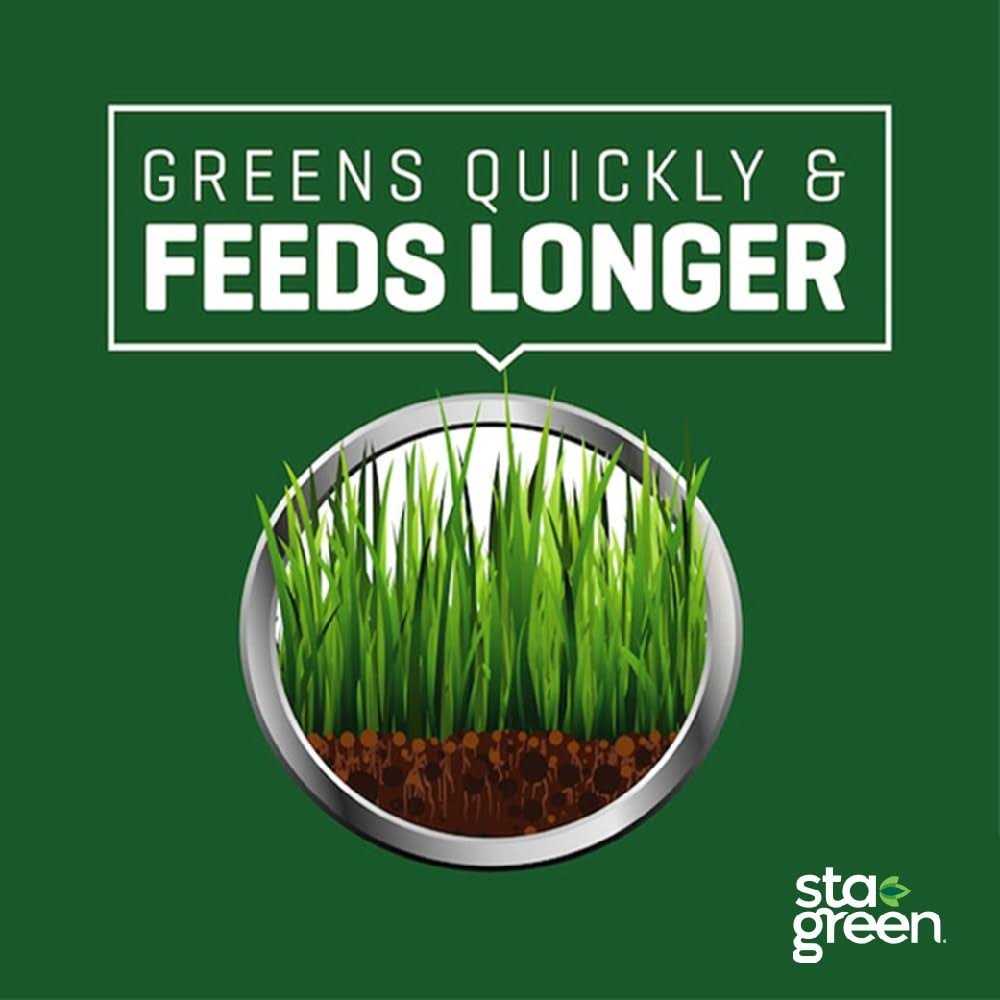 Sta-Green All-purpose Lawn Starter Fertilizer SG-40