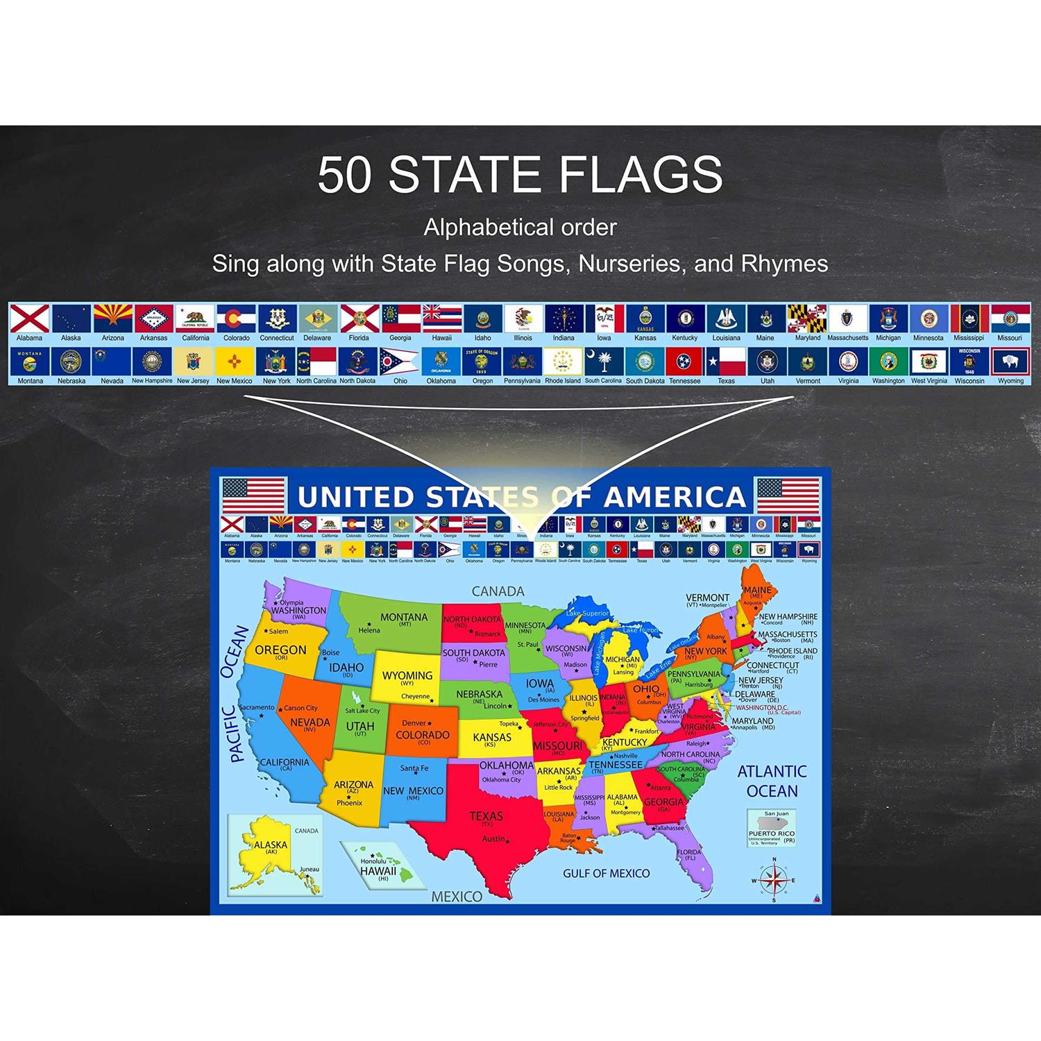United States Map with State Flags Poster Laminated 14×19.5