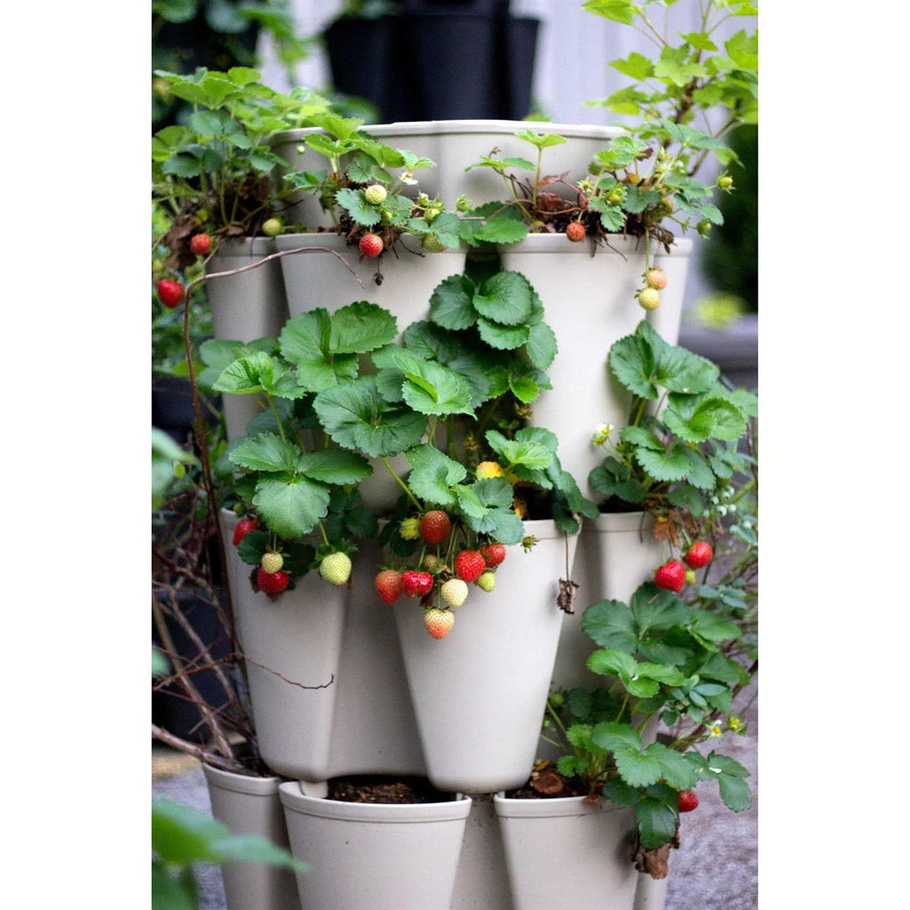 GreenStalk Patented Large 5 Tier Vertical Garden Planter with Patented Internal Watering System Great for Growing a Variety of Strawberries