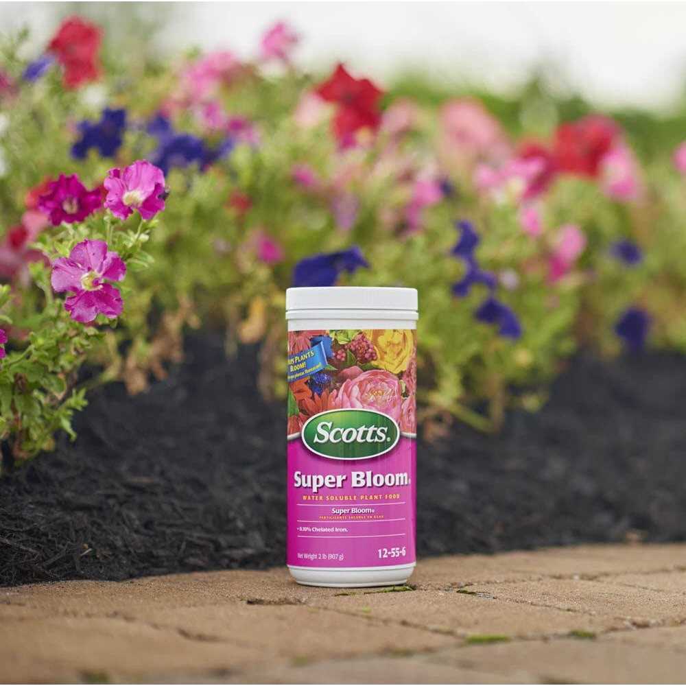 Scotts Super Bloom Water Soluble Plant Food