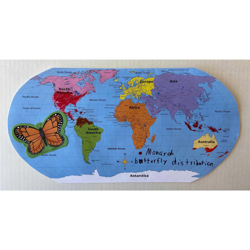 Shapes Etc. Practice Map Labeled World 30 Sht