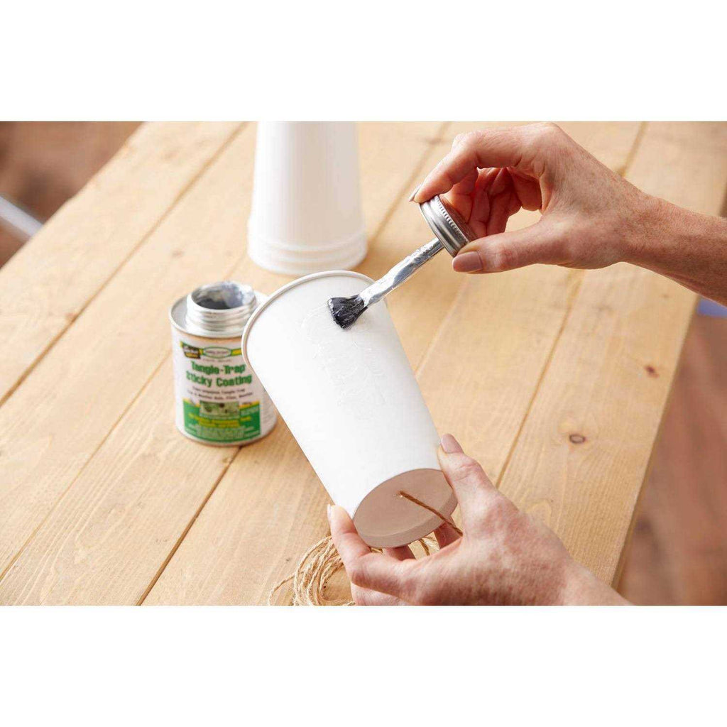 Tanglefoot Tangle-Trap Sticky Coating