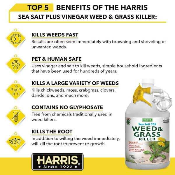 Harris Sea Salt 10X Organic Weed & Grass Killer