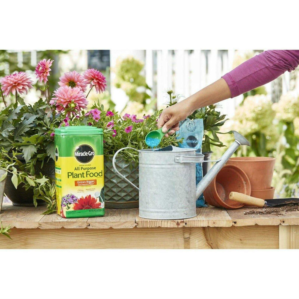 Miracle Gro All Purpose Plant Food – 5 lbs Container