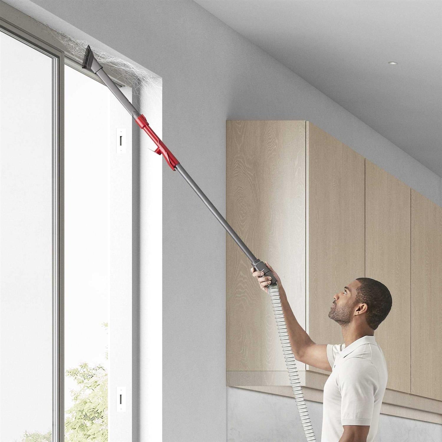 Dyson Ball Animal 3