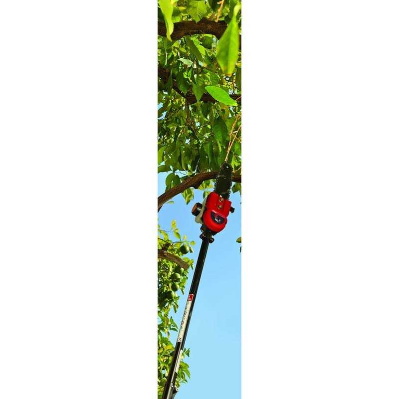 TrimmerPlus Pole Saw Attachment