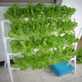 HYDDNice Hydroponic Grow Kit 4 Layers 36 Plant Sites Garden Planting System Hydroponic Growing System Water Culture Garden Plant System Garden