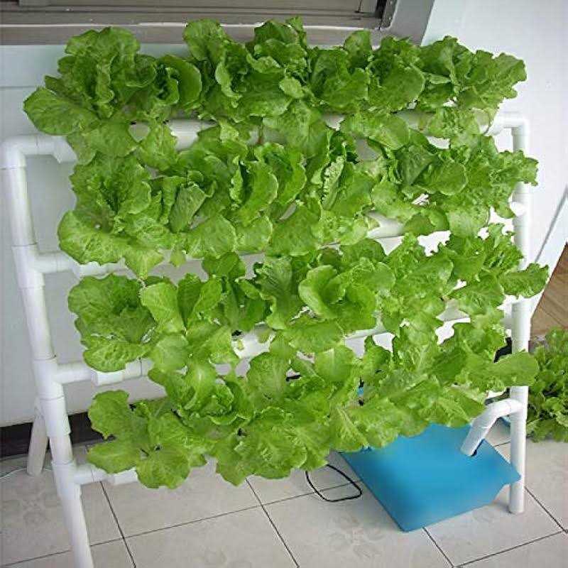 HYDDNice Hydroponic Grow Kit 4 Layers 36 Plant Sites Garden Planting System Hydroponic Growing System Water Culture Garden Plant System Garden