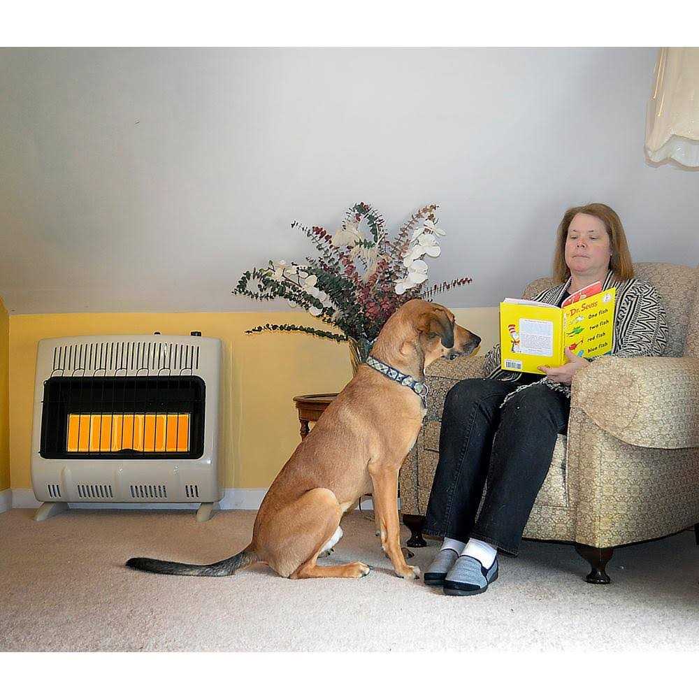 Mr. Heater 30,000 BTU Vent Free Radiant Natural Gas Heater F299831