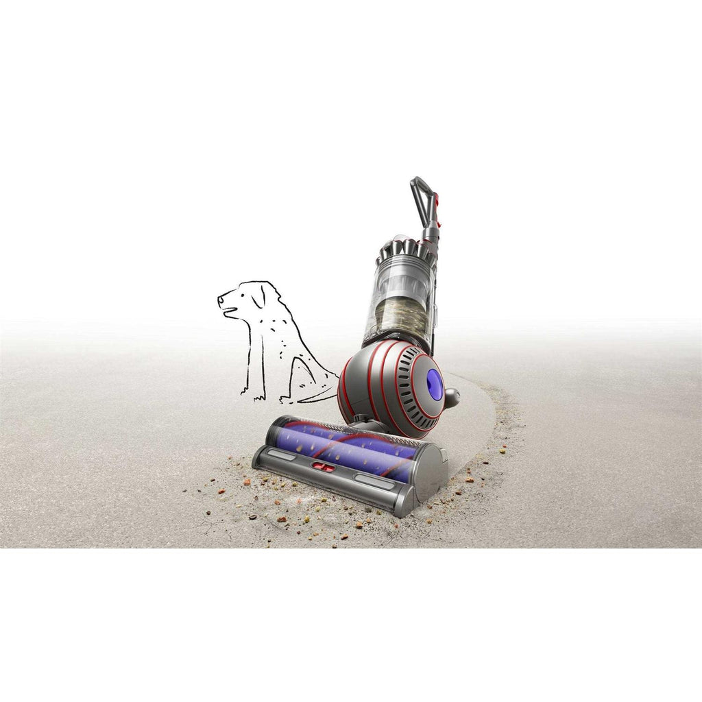 Dyson Ball Animal 3