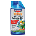 BioAdvanced All-In-One Lawn Weed & Crabgrass Killer