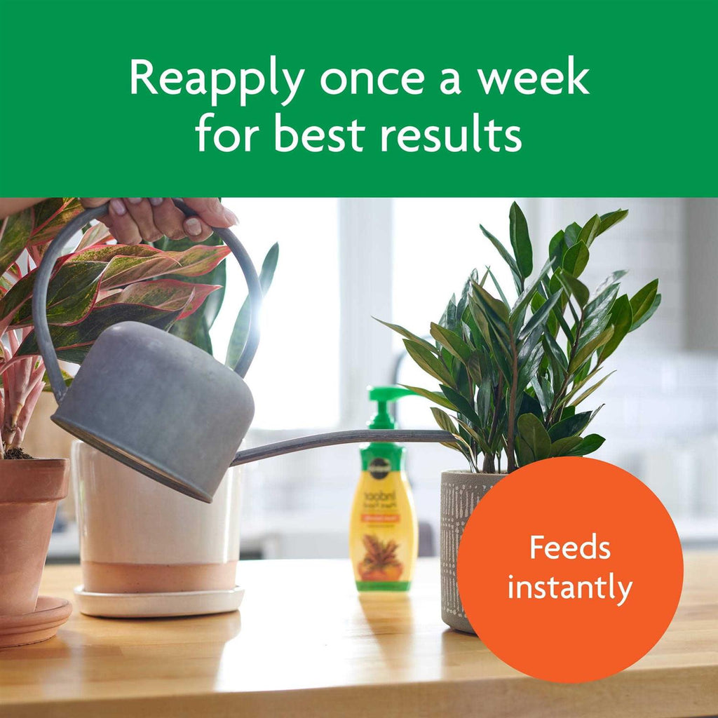 Miracle Gro Indoor Plant Food