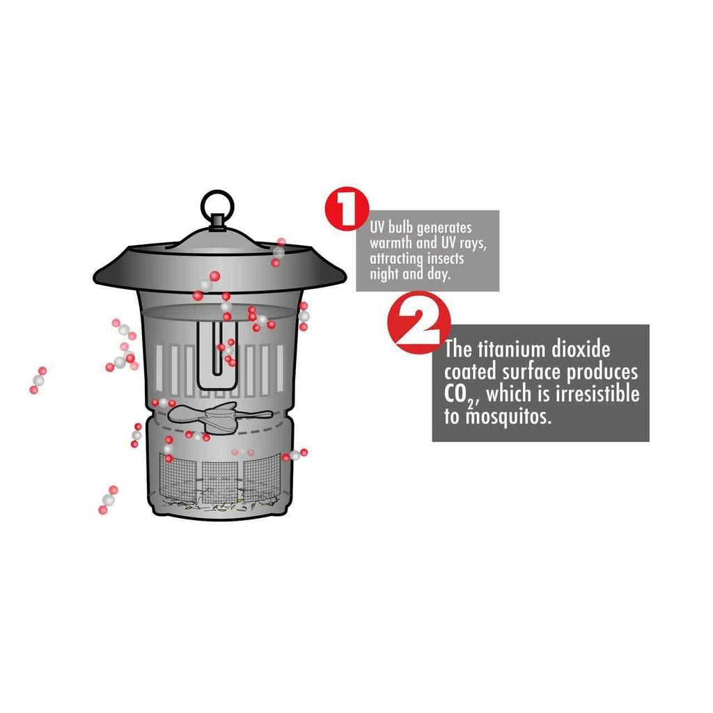 Dynatrap Insect Trap