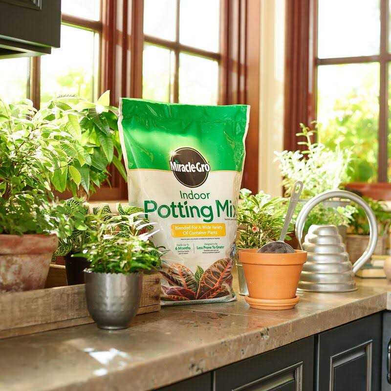 Miracle Gro Indoor Potting Mix