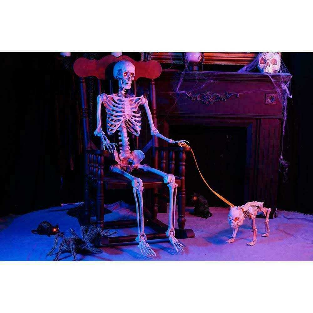 Home Accents Holiday 5 ft. Poseable Skeleton with LED Illumination