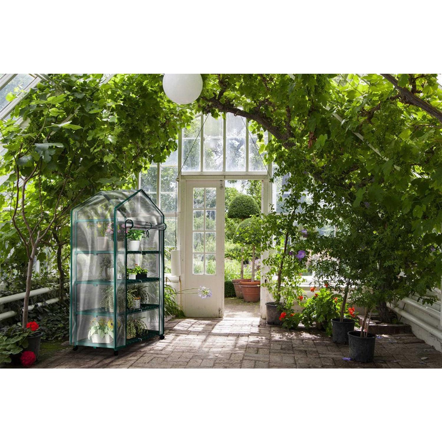 Home-complete Mini Greenhouse-4-Tier Indoor Outdoor Sturdy Portable Shelves-Grow Plants, Seedlings, Herbs, or Flowers In Any Sea