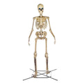 Home Accents Holiday 12 ft Giant-Sized Skeleton with LifeEyes LCD Eyes