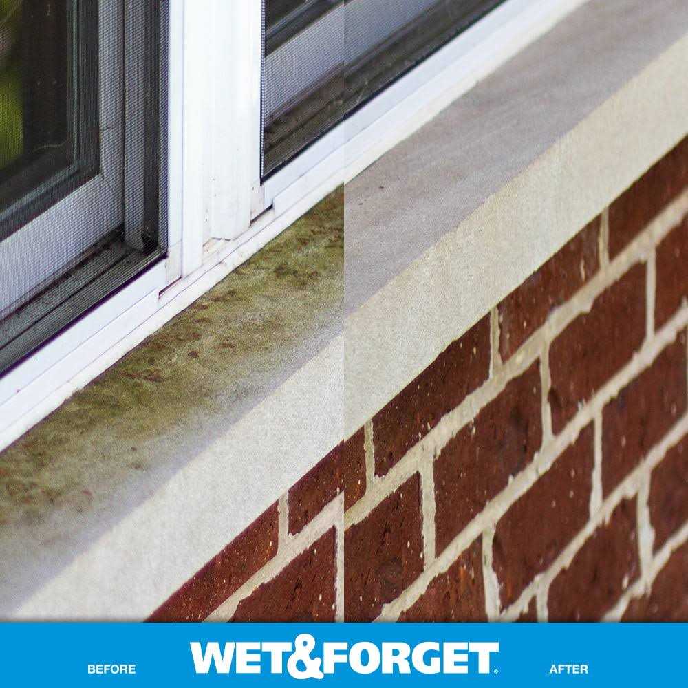 Wet & Forget Moss Mold & Mildew Stain Remover