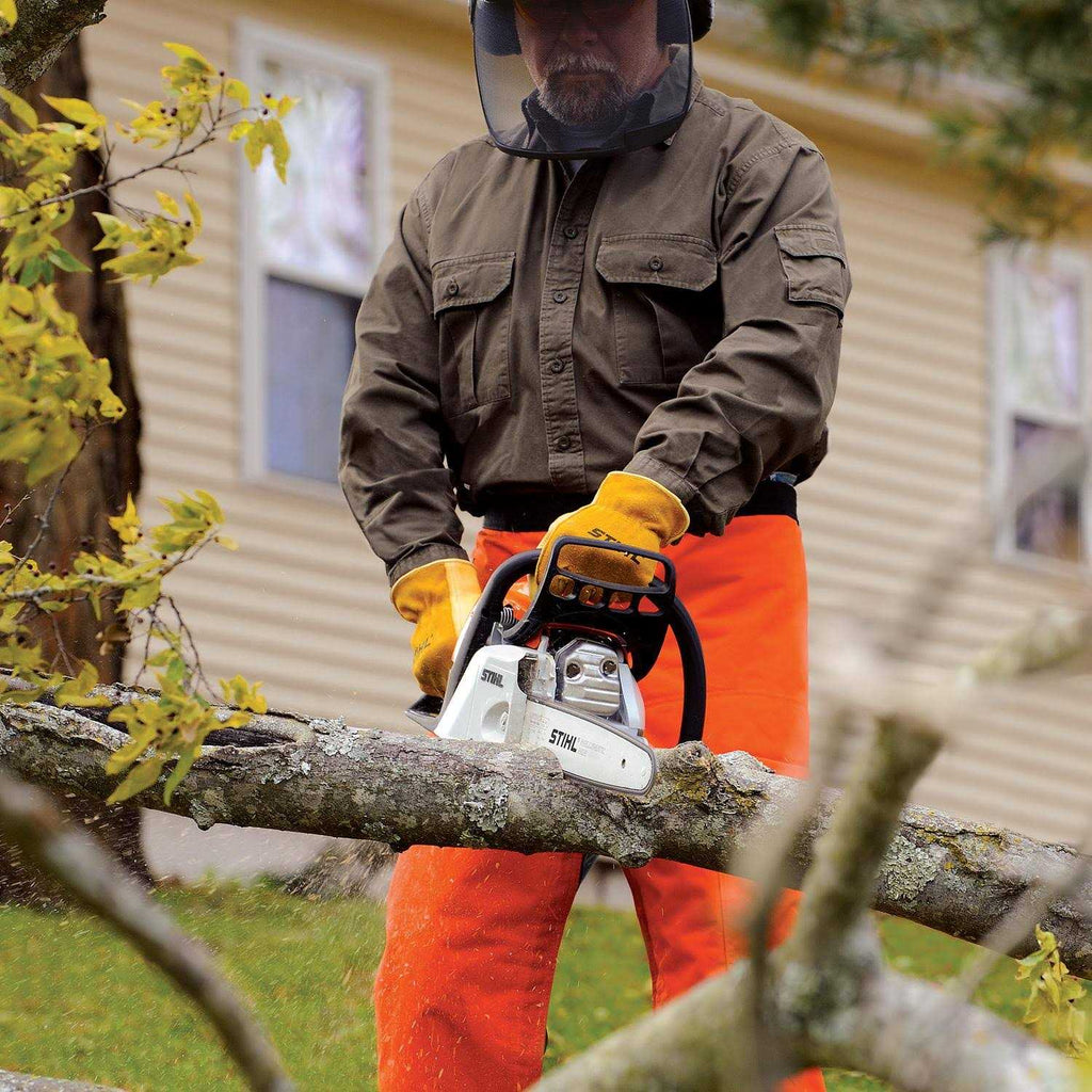STIHL MS 171 Gas Chainsaw