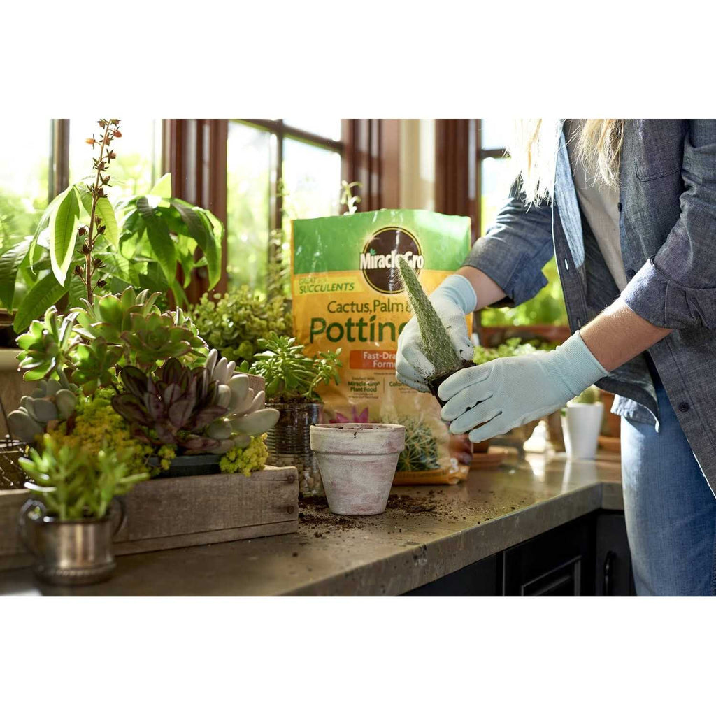 Miracle-Gro Cactus Palm Citrus Potting Mix