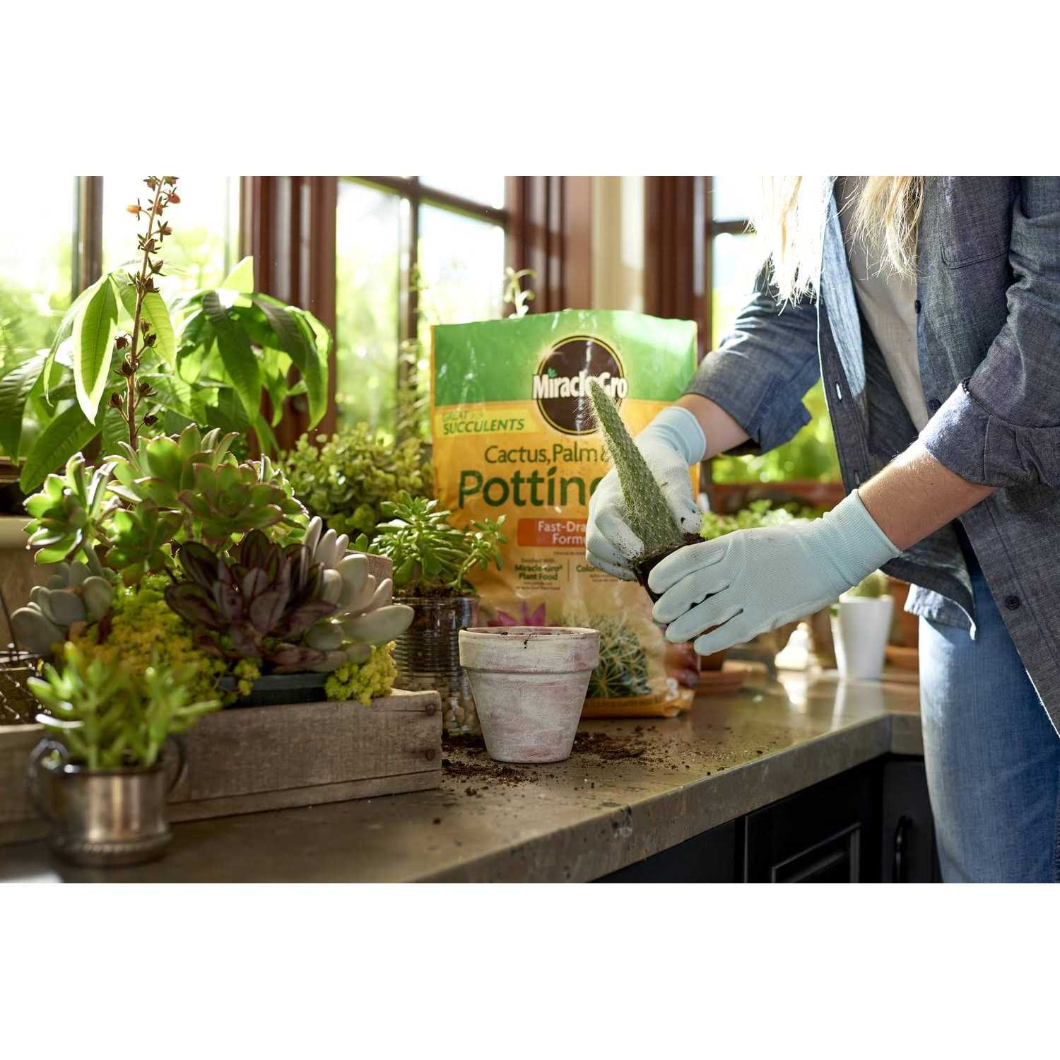 Miracle-Gro Cactus Palm Citrus Potting Mix