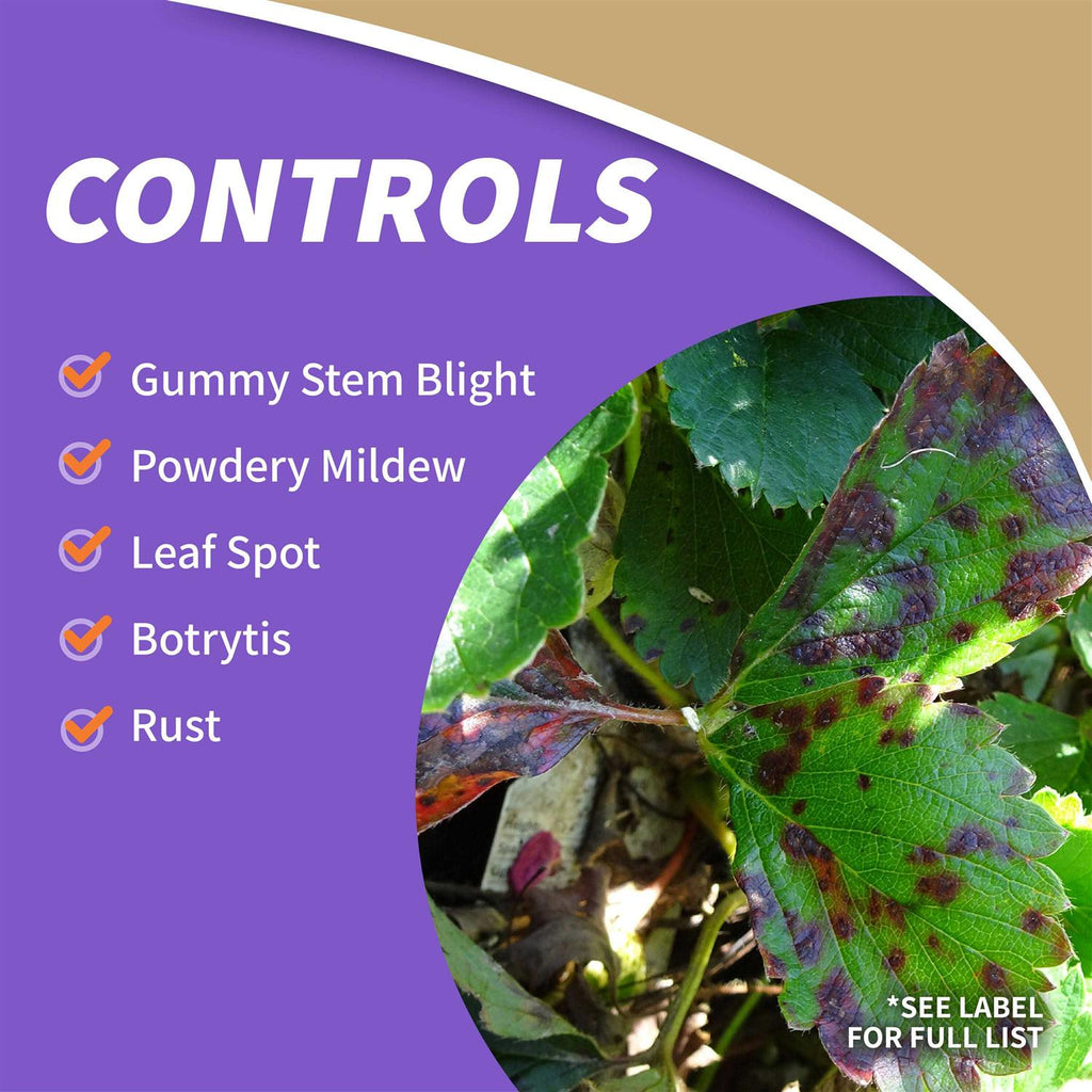Bonide All Seasons Horticultural & Dormant Spray Oil