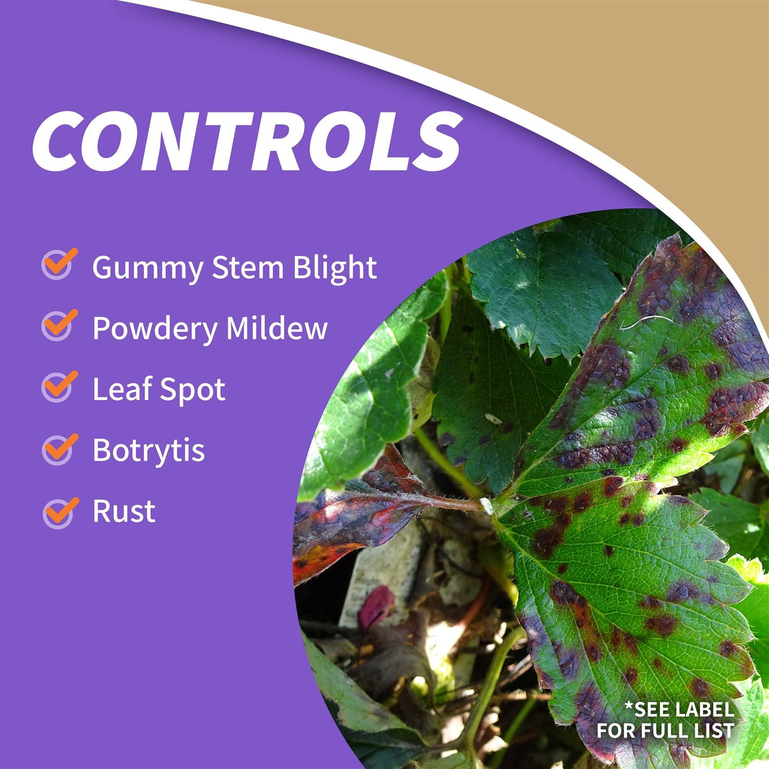 Bonide All Seasons Horticultural & Dormant Spray Oil