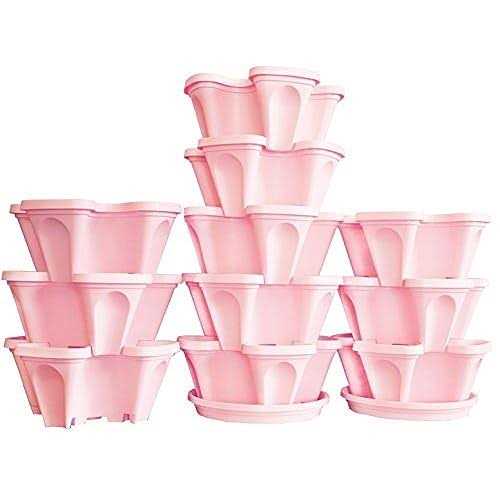 Mr Stacky 5 Tier Strawberry Planter