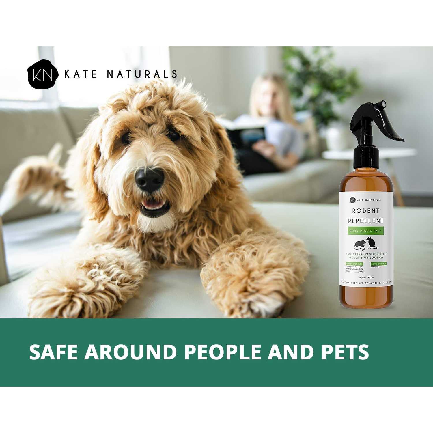 Rodent Repellent Spray with Peppermint Oil by Kate Naturals. Formulated with Peppermint Oil to Repel Mice and Rats. Non-Toxic Peppermint Spray
