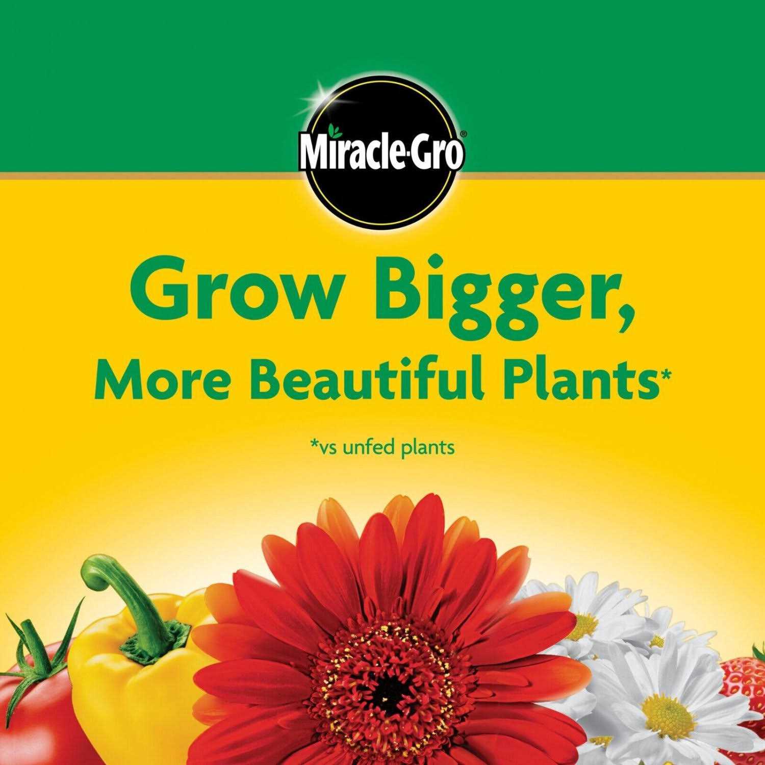 Miracle Gro All Purpose Plant Food – 5 lbs Container