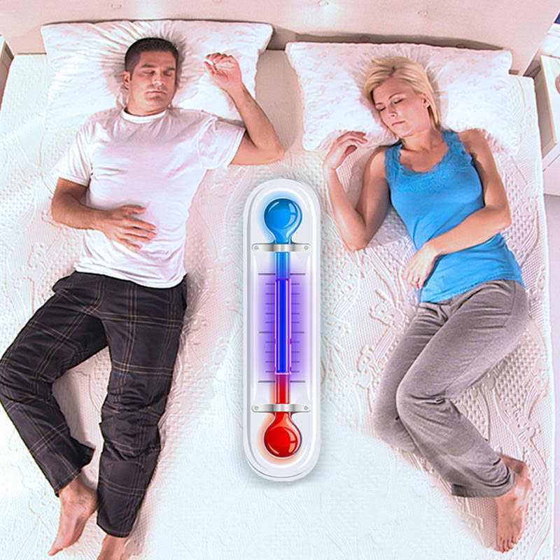 MyPillow Mattress Topper