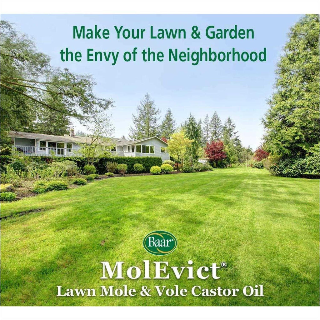 Baar Lawn Mole Castor Oil