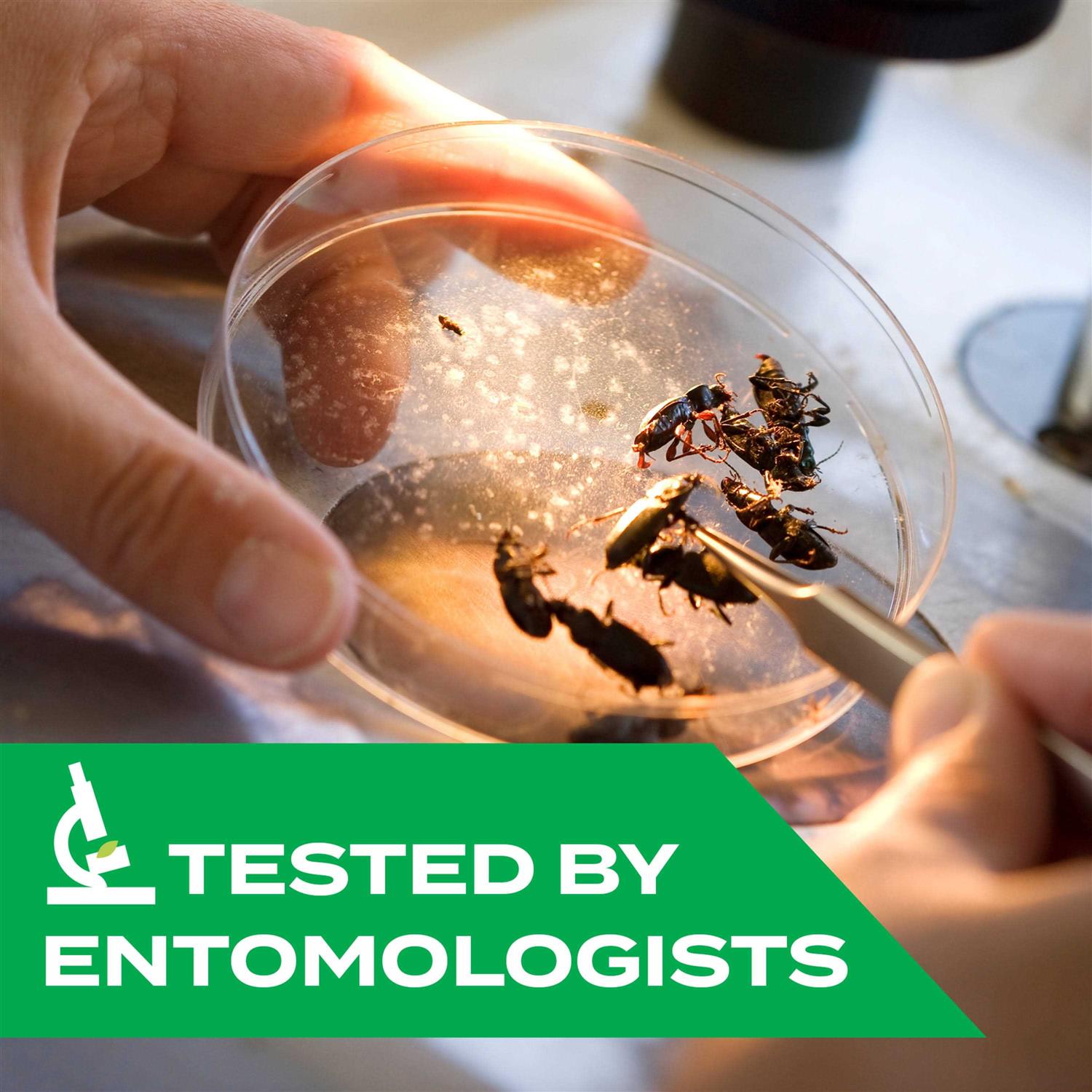 Stem Kills Ants, Roaches And Flies Plant-Based Indoor & Outdoor Bug Spray