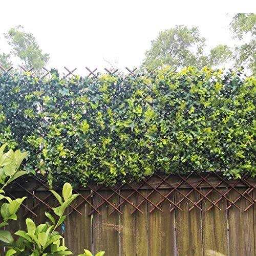 Glant Lattice Fence Willow Expandable Plant Climbing Lattices Trellis Fence,Open Screen Fencing,Willow