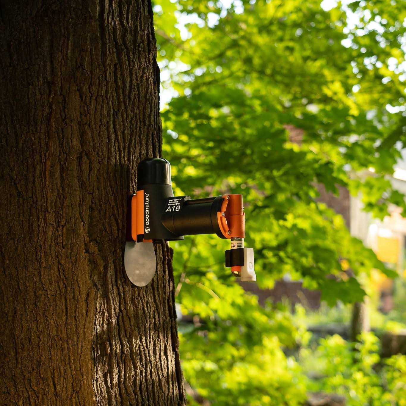 Goodnature A18 Squirrel Trap Kit