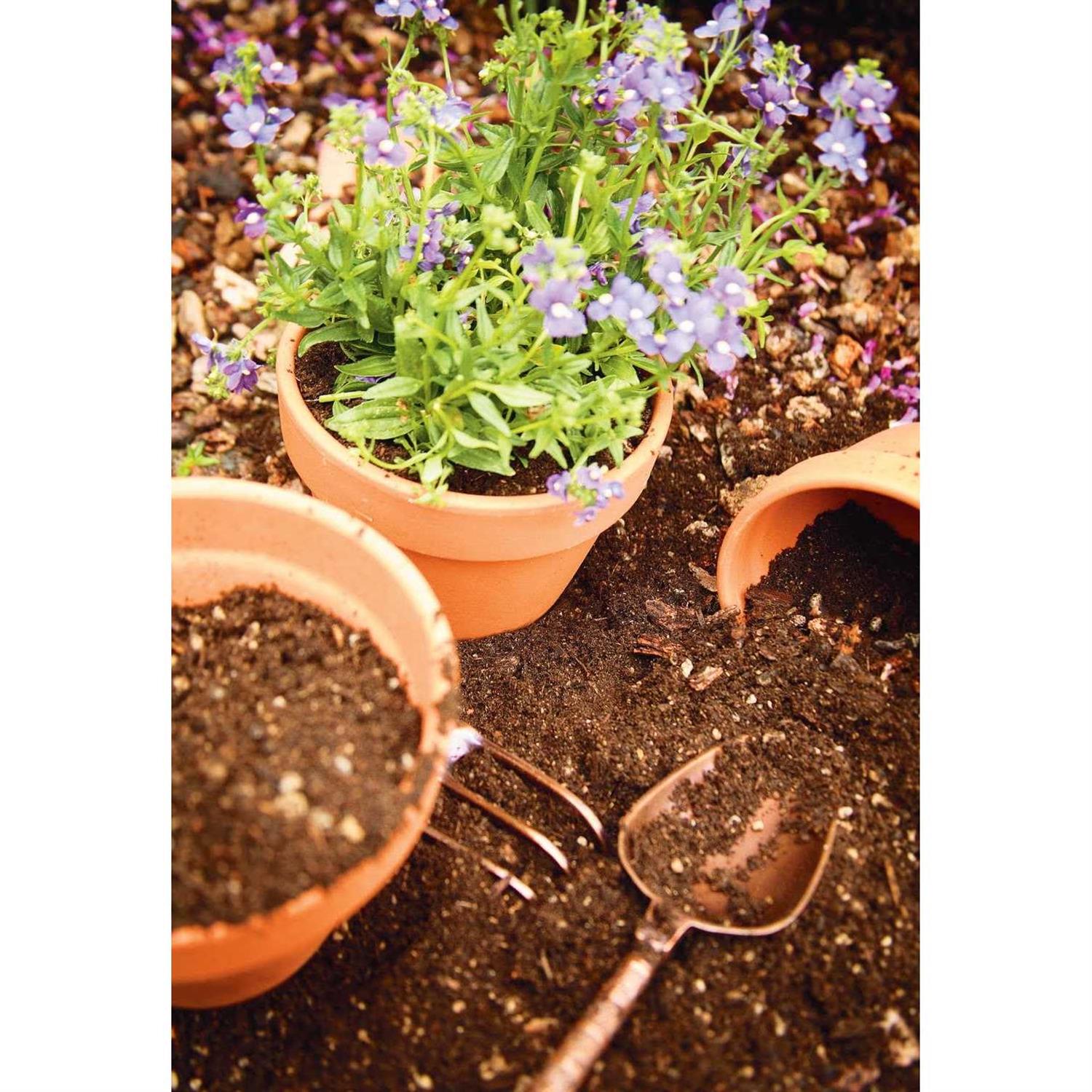 Pennington Terra Cotta Clay Pot