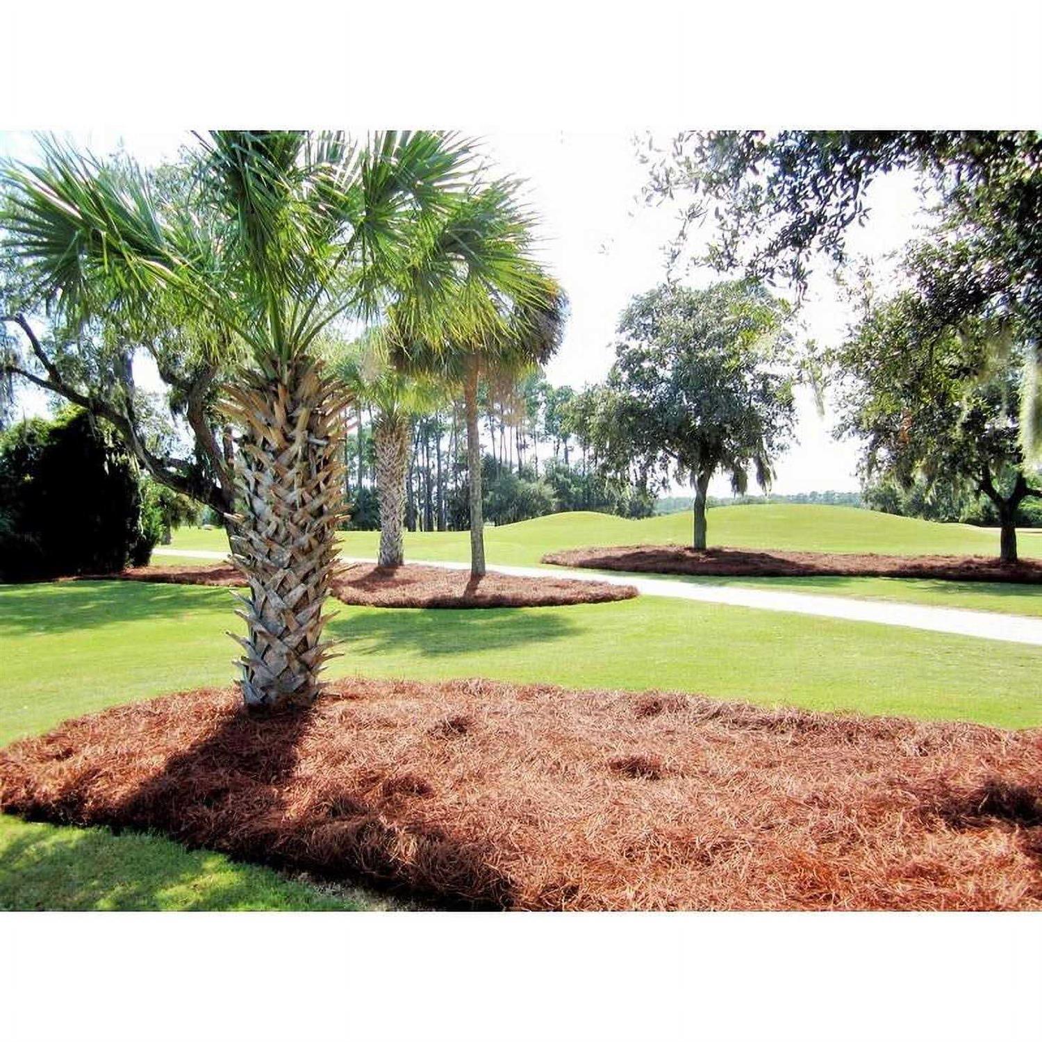 CleanStraw Mulch Natural Pine Needles 2.3 cu ft