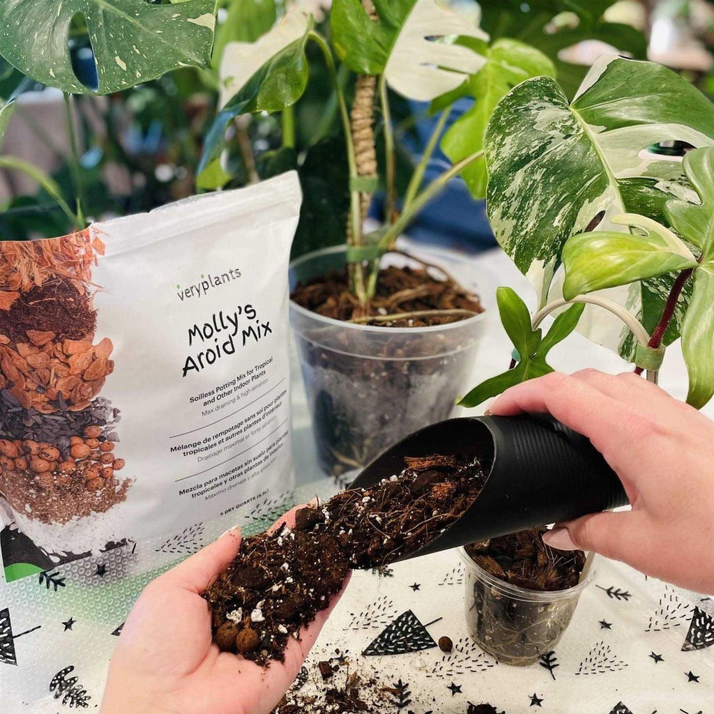 VERYPLANTS Molly’s Aroid Mix Premium Tropical Plant Soilless Potting Mix