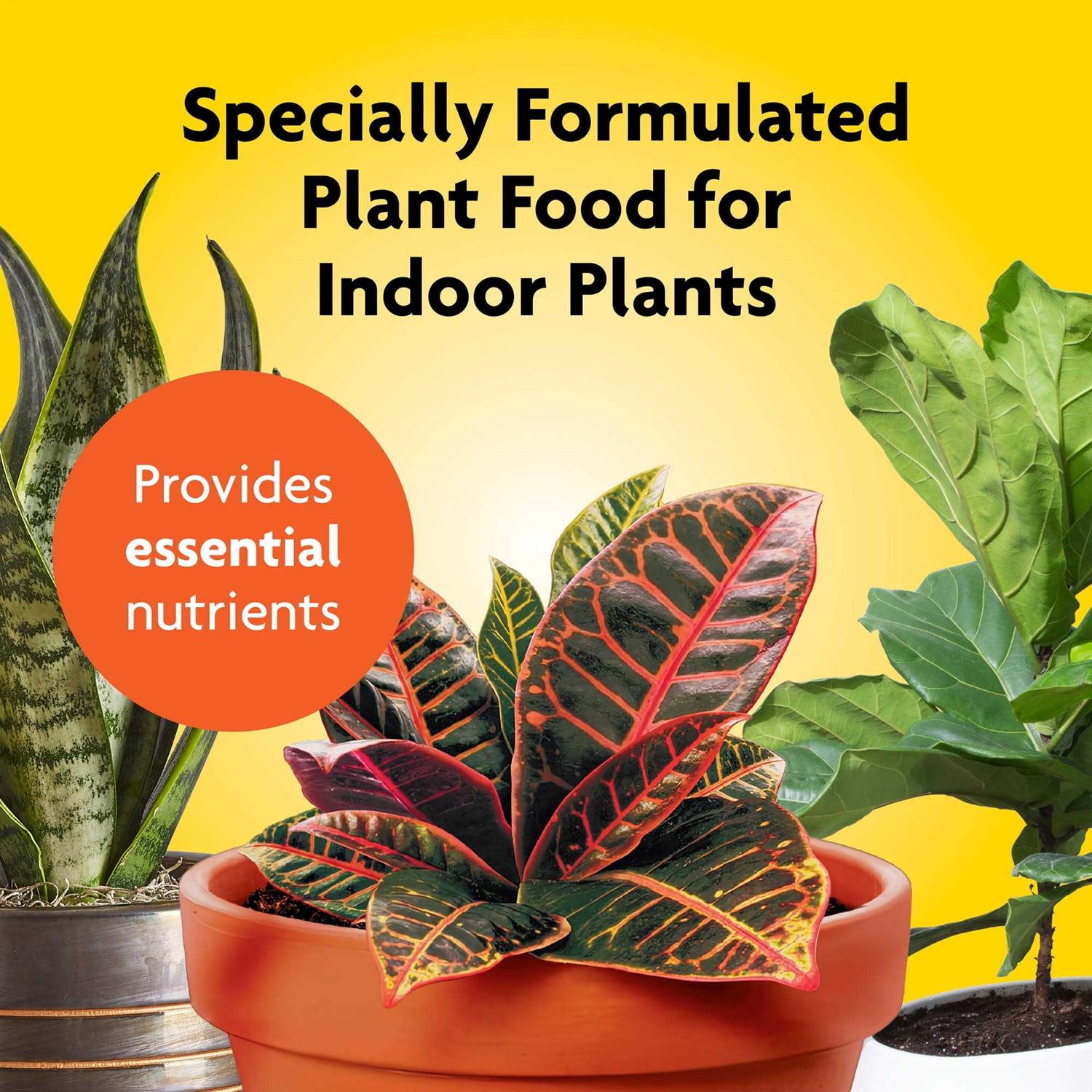 Miracle Gro Indoor Plant Food