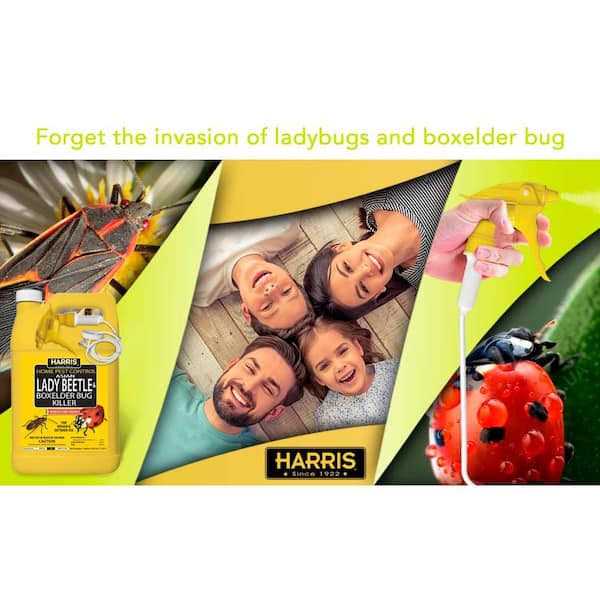 Harris Asian Lady Beetle & Box Elder Bug Killer