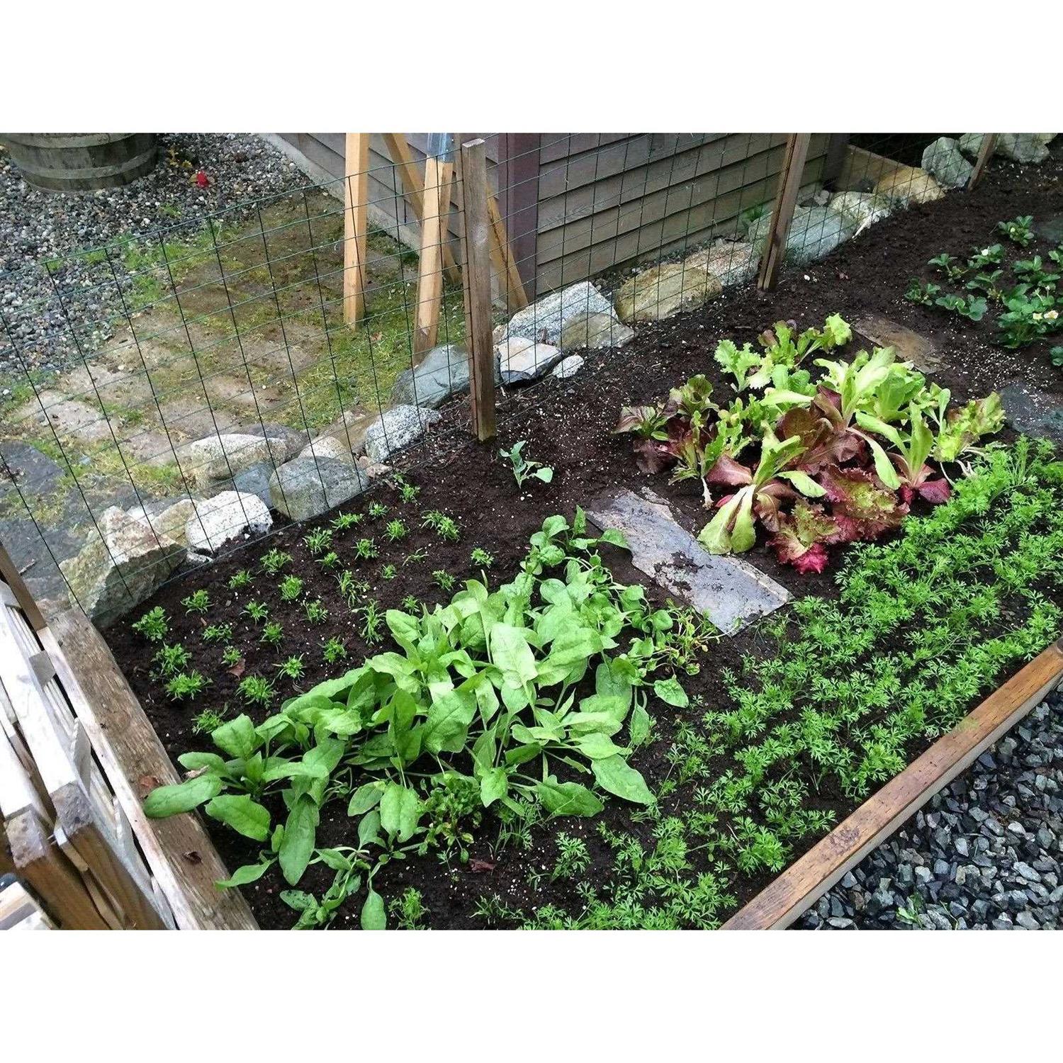 Seeding Square-Square Foot Gardening Template-Seed Sowing Tool Kit Comes