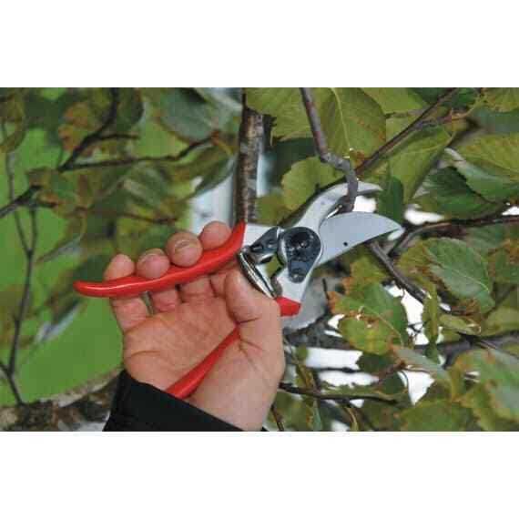 Felco 2 Pruner