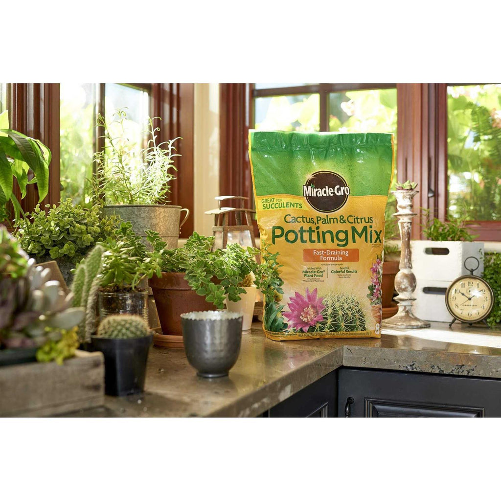 Miracle-Gro Cactus Palm Citrus Potting Mix