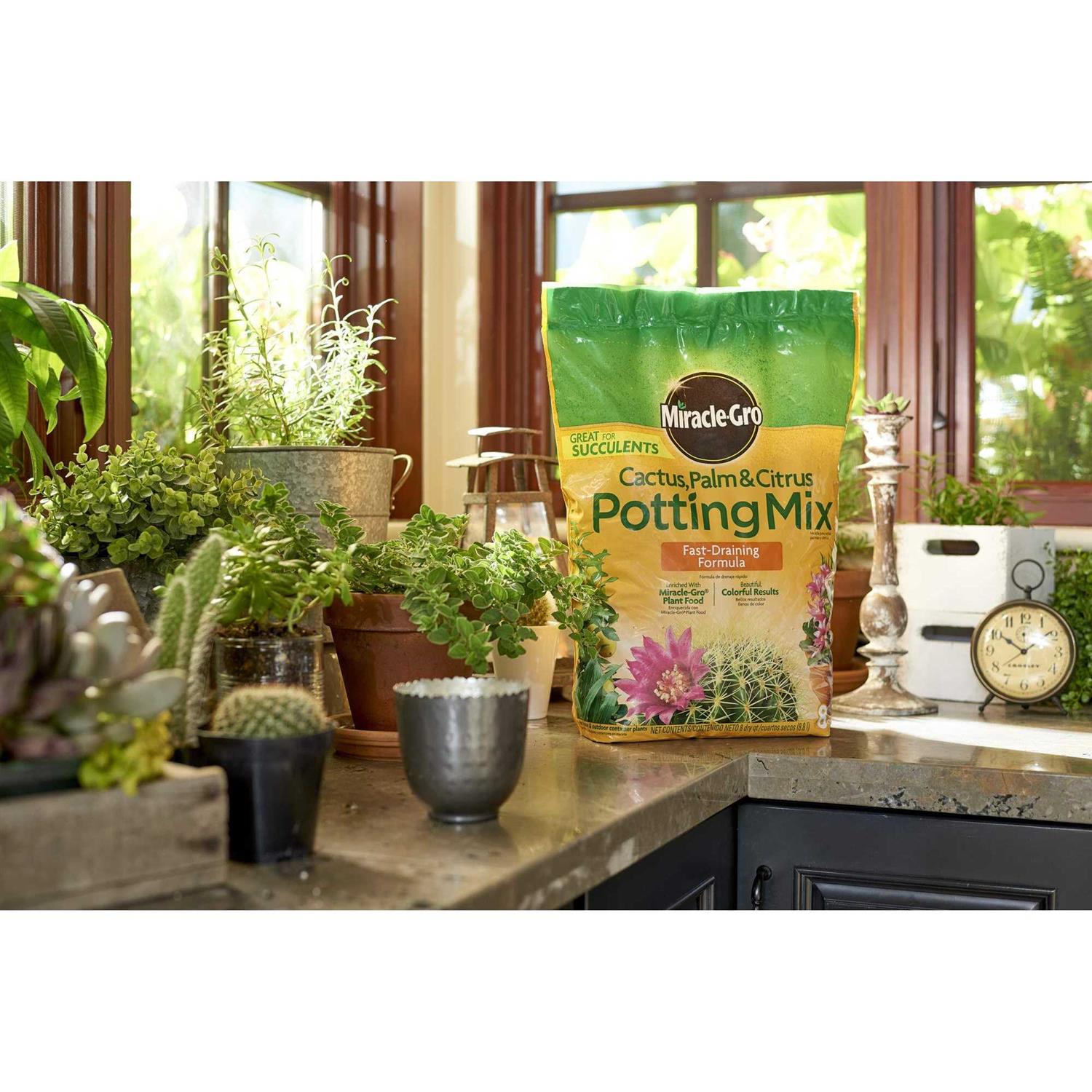 Miracle-Gro Cactus Palm Citrus Potting Mix