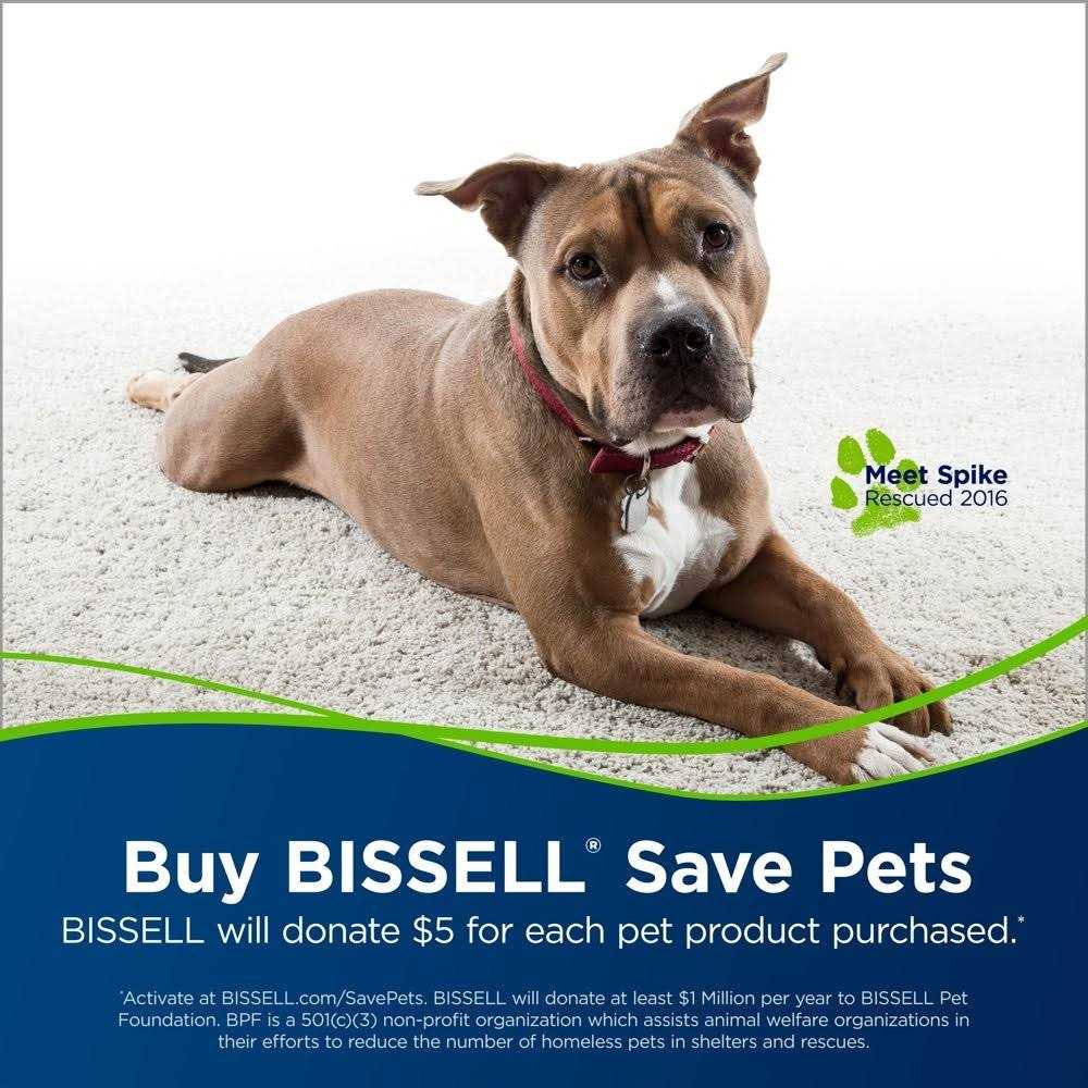 BISSELL Powerlifter Swivel Pet Vacuum Cleaner