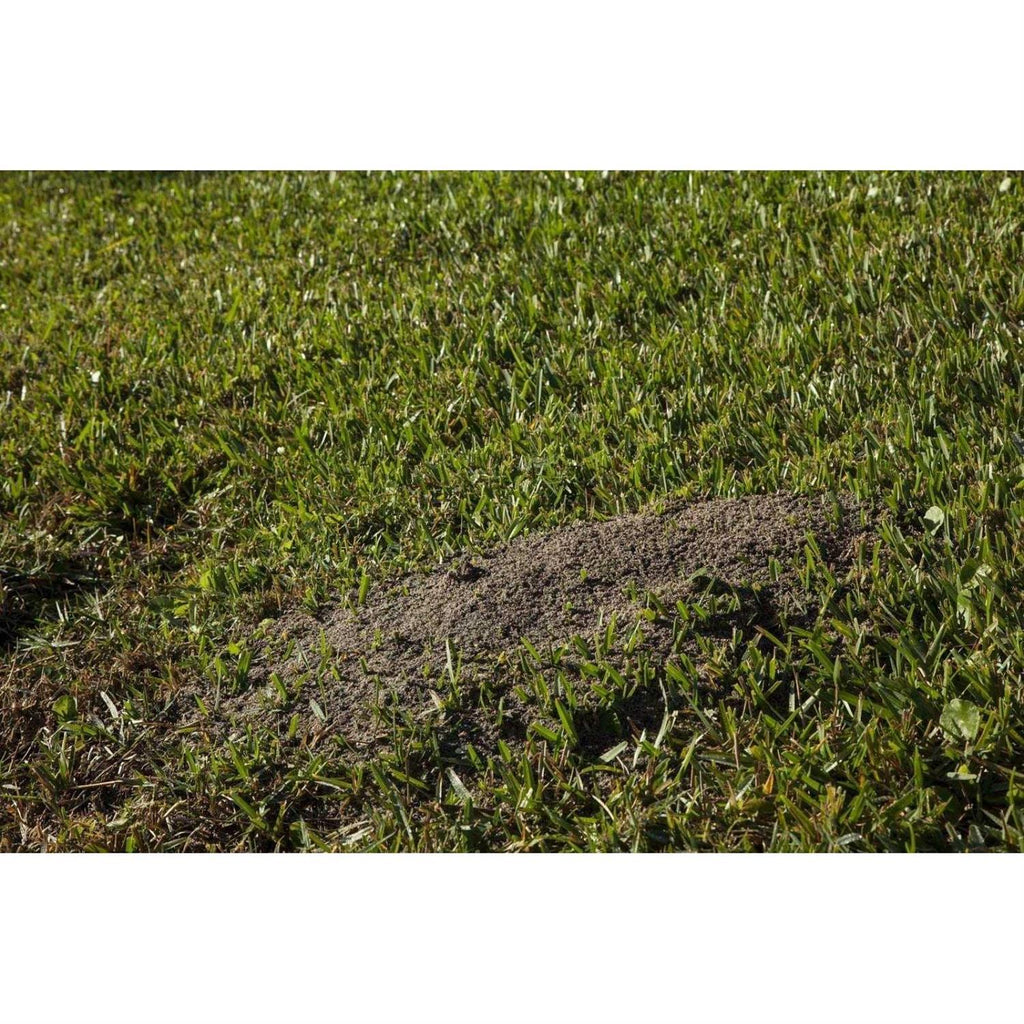 Ortho Orthene Fire Ant Killer